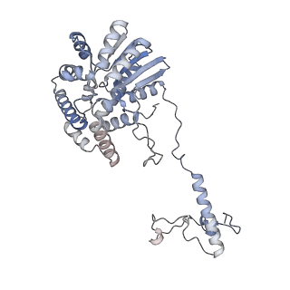 34403_8gzu_E_v1-0
Cryo-EM structure of Tetrahymena thermophila respiratory Megacomplex MC (IV2+I+III2+II)2