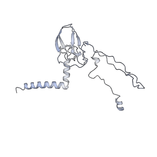 34403_8gzu_FS_v1-0
Cryo-EM structure of Tetrahymena thermophila respiratory Megacomplex MC (IV2+I+III2+II)2