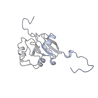34403_8gzu_FX_v1-0
Cryo-EM structure of Tetrahymena thermophila respiratory Megacomplex MC (IV2+I+III2+II)2