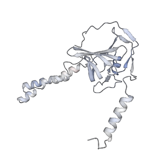 34403_8gzu_F_v1-0
Cryo-EM structure of Tetrahymena thermophila respiratory Megacomplex MC (IV2+I+III2+II)2