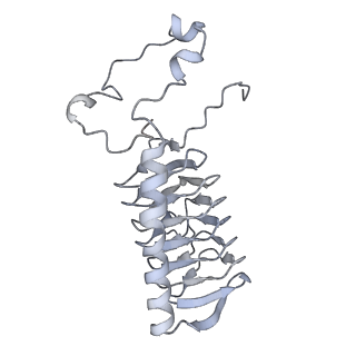 34403_8gzu_G1_v1-0
Cryo-EM structure of Tetrahymena thermophila respiratory Megacomplex MC (IV2+I+III2+II)2