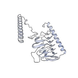 34403_8gzu_G2_v1-0
Cryo-EM structure of Tetrahymena thermophila respiratory Megacomplex MC (IV2+I+III2+II)2