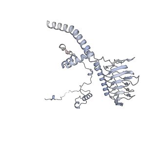 34403_8gzu_G3_v1-0
Cryo-EM structure of Tetrahymena thermophila respiratory Megacomplex MC (IV2+I+III2+II)2
