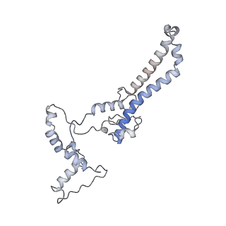 34403_8gzu_I_v1-0
Cryo-EM structure of Tetrahymena thermophila respiratory Megacomplex MC (IV2+I+III2+II)2