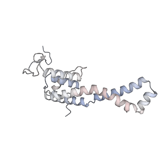 34403_8gzu_J_v1-0
Cryo-EM structure of Tetrahymena thermophila respiratory Megacomplex MC (IV2+I+III2+II)2