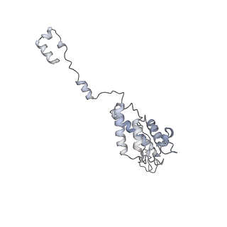 34403_8gzu_K_v1-0
Cryo-EM structure of Tetrahymena thermophila respiratory Megacomplex MC (IV2+I+III2+II)2