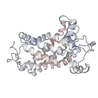 34403_8gzu_M2_v1-0
Cryo-EM structure of Tetrahymena thermophila respiratory Megacomplex MC (IV2+I+III2+II)2