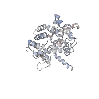 34403_8gzu_M3_v1-0
Cryo-EM structure of Tetrahymena thermophila respiratory Megacomplex MC (IV2+I+III2+II)2