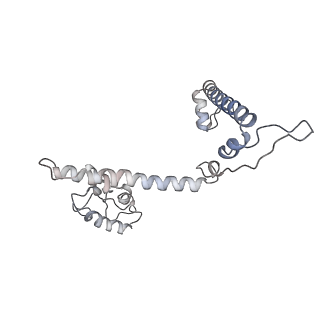 34403_8gzu_M_v1-0
Cryo-EM structure of Tetrahymena thermophila respiratory Megacomplex MC (IV2+I+III2+II)2