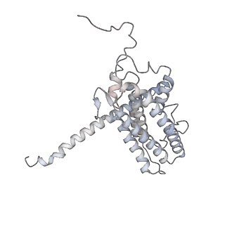34403_8gzu_N1_v1-0
Cryo-EM structure of Tetrahymena thermophila respiratory Megacomplex MC (IV2+I+III2+II)2