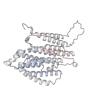 34403_8gzu_N2_v1-0
Cryo-EM structure of Tetrahymena thermophila respiratory Megacomplex MC (IV2+I+III2+II)2