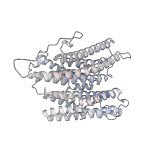 34403_8gzu_N4_v1-0
Cryo-EM structure of Tetrahymena thermophila respiratory Megacomplex MC (IV2+I+III2+II)2