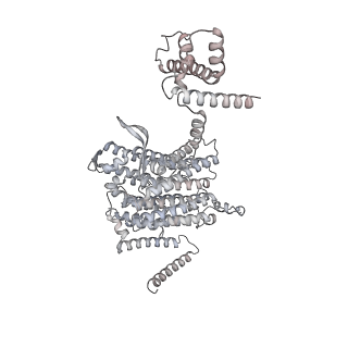 34403_8gzu_N5_v1-0
Cryo-EM structure of Tetrahymena thermophila respiratory Megacomplex MC (IV2+I+III2+II)2