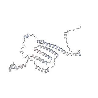 34403_8gzu_N6_v1-0
Cryo-EM structure of Tetrahymena thermophila respiratory Megacomplex MC (IV2+I+III2+II)2