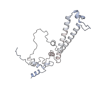 34403_8gzu_N_v1-0
Cryo-EM structure of Tetrahymena thermophila respiratory Megacomplex MC (IV2+I+III2+II)2