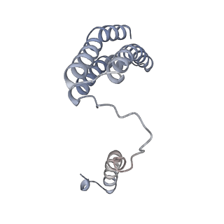 34403_8gzu_O_v1-0
Cryo-EM structure of Tetrahymena thermophila respiratory Megacomplex MC (IV2+I+III2+II)2