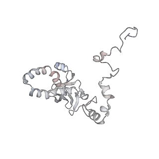 34403_8gzu_P1_v1-0
Cryo-EM structure of Tetrahymena thermophila respiratory Megacomplex MC (IV2+I+III2+II)2