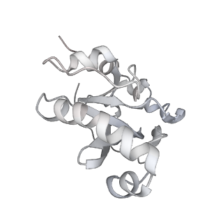 34403_8gzu_P2_v1-0
Cryo-EM structure of Tetrahymena thermophila respiratory Megacomplex MC (IV2+I+III2+II)2