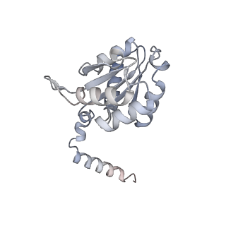 34403_8gzu_P_v1-0
Cryo-EM structure of Tetrahymena thermophila respiratory Megacomplex MC (IV2+I+III2+II)2