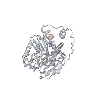 34403_8gzu_QA_v1-0
Cryo-EM structure of Tetrahymena thermophila respiratory Megacomplex MC (IV2+I+III2+II)2