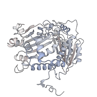 34403_8gzu_QB_v1-0
Cryo-EM structure of Tetrahymena thermophila respiratory Megacomplex MC (IV2+I+III2+II)2