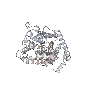 34403_8gzu_QC_v1-0
Cryo-EM structure of Tetrahymena thermophila respiratory Megacomplex MC (IV2+I+III2+II)2