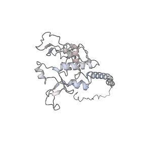 34403_8gzu_QD_v1-0
Cryo-EM structure of Tetrahymena thermophila respiratory Megacomplex MC (IV2+I+III2+II)2