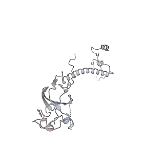 34403_8gzu_QE_v1-0
Cryo-EM structure of Tetrahymena thermophila respiratory Megacomplex MC (IV2+I+III2+II)2