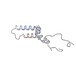 34403_8gzu_QF_v1-0
Cryo-EM structure of Tetrahymena thermophila respiratory Megacomplex MC (IV2+I+III2+II)2