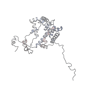 34403_8gzu_QG_v1-0
Cryo-EM structure of Tetrahymena thermophila respiratory Megacomplex MC (IV2+I+III2+II)2
