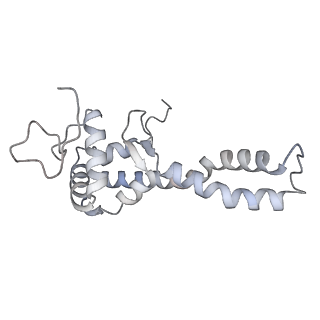 34403_8gzu_Q_v1-0
Cryo-EM structure of Tetrahymena thermophila respiratory Megacomplex MC (IV2+I+III2+II)2