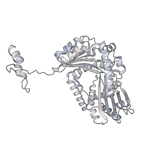 34403_8gzu_Qa_v1-0
Cryo-EM structure of Tetrahymena thermophila respiratory Megacomplex MC (IV2+I+III2+II)2