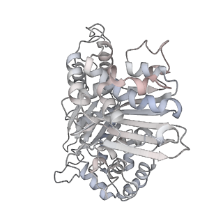 34403_8gzu_Qb_v1-0
Cryo-EM structure of Tetrahymena thermophila respiratory Megacomplex MC (IV2+I+III2+II)2