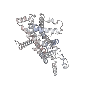 34403_8gzu_Qc_v1-0
Cryo-EM structure of Tetrahymena thermophila respiratory Megacomplex MC (IV2+I+III2+II)2