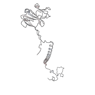 34403_8gzu_Qe_v1-0
Cryo-EM structure of Tetrahymena thermophila respiratory Megacomplex MC (IV2+I+III2+II)2