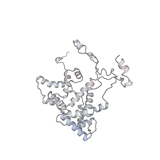 34403_8gzu_Qg_v1-0
Cryo-EM structure of Tetrahymena thermophila respiratory Megacomplex MC (IV2+I+III2+II)2