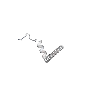 34403_8gzu_Qj_v1-0
Cryo-EM structure of Tetrahymena thermophila respiratory Megacomplex MC (IV2+I+III2+II)2