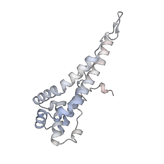 34403_8gzu_R_v1-0
Cryo-EM structure of Tetrahymena thermophila respiratory Megacomplex MC (IV2+I+III2+II)2