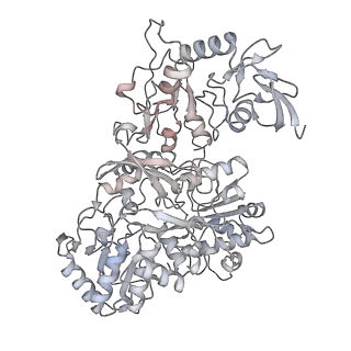 34403_8gzu_S1_v1-0
Cryo-EM structure of Tetrahymena thermophila respiratory Megacomplex MC (IV2+I+III2+II)2