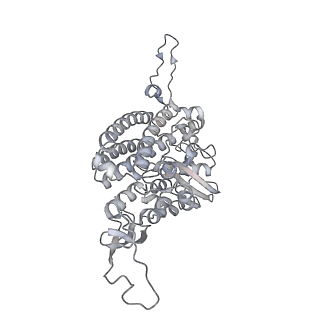 34403_8gzu_S2_v1-0
Cryo-EM structure of Tetrahymena thermophila respiratory Megacomplex MC (IV2+I+III2+II)2