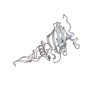 34403_8gzu_S3_v1-0
Cryo-EM structure of Tetrahymena thermophila respiratory Megacomplex MC (IV2+I+III2+II)2