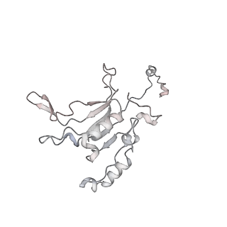 34403_8gzu_S4_v1-0
Cryo-EM structure of Tetrahymena thermophila respiratory Megacomplex MC (IV2+I+III2+II)2