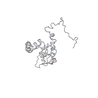 34403_8gzu_S8_v1-0
Cryo-EM structure of Tetrahymena thermophila respiratory Megacomplex MC (IV2+I+III2+II)2