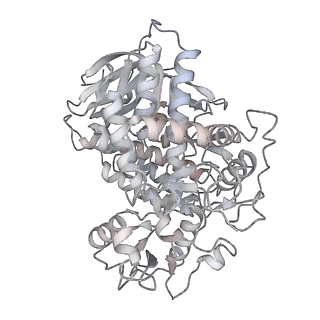 34403_8gzu_SA_v1-0
Cryo-EM structure of Tetrahymena thermophila respiratory Megacomplex MC (IV2+I+III2+II)2