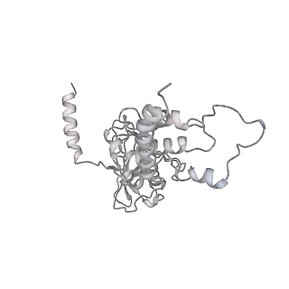 34403_8gzu_SB_v1-0
Cryo-EM structure of Tetrahymena thermophila respiratory Megacomplex MC (IV2+I+III2+II)2