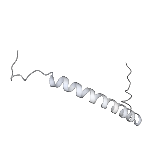 34403_8gzu_SC_v1-0
Cryo-EM structure of Tetrahymena thermophila respiratory Megacomplex MC (IV2+I+III2+II)2