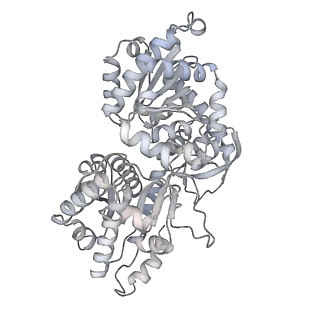 34403_8gzu_T1_v1-0
Cryo-EM structure of Tetrahymena thermophila respiratory Megacomplex MC (IV2+I+III2+II)2