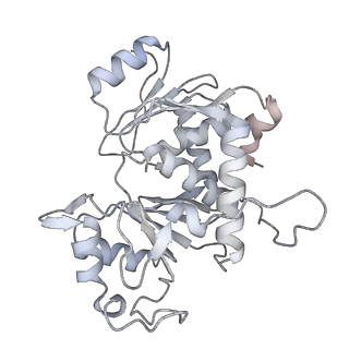 34403_8gzu_T2_v1-0
Cryo-EM structure of Tetrahymena thermophila respiratory Megacomplex MC (IV2+I+III2+II)2