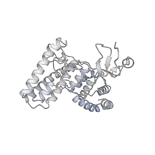 34403_8gzu_T3_v1-0
Cryo-EM structure of Tetrahymena thermophila respiratory Megacomplex MC (IV2+I+III2+II)2