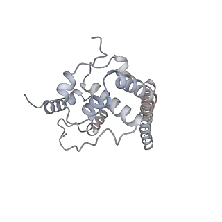 34403_8gzu_T4_v1-0
Cryo-EM structure of Tetrahymena thermophila respiratory Megacomplex MC (IV2+I+III2+II)2